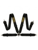 QSP 4 point safety harness 3" (Black)