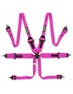 QSP 6 point safety harness 3" FIA FHR Touring